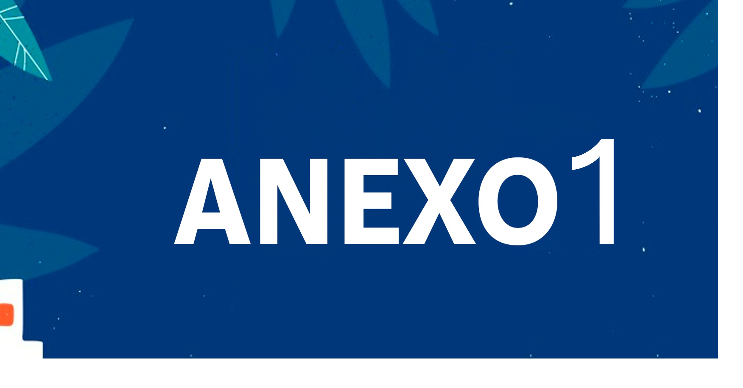 ANEXO 1